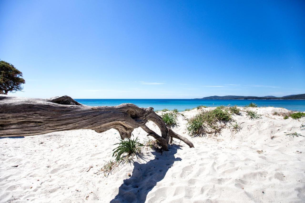 Alice'S House Bed & Breakfast Alghero Bagian luar foto